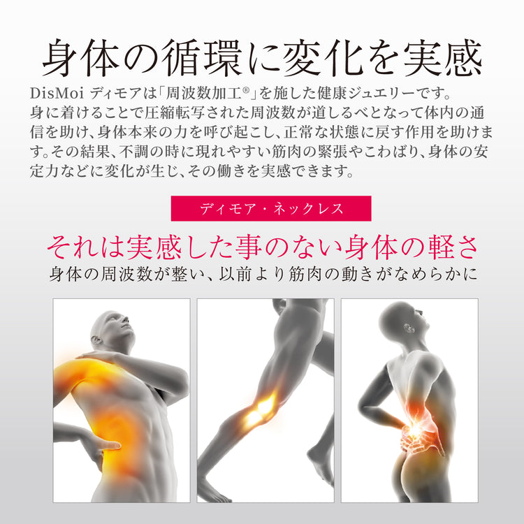 DisMoi ディモア – ナノコロイドシリカウォーターシエラ