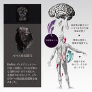 DisMoi ディモア