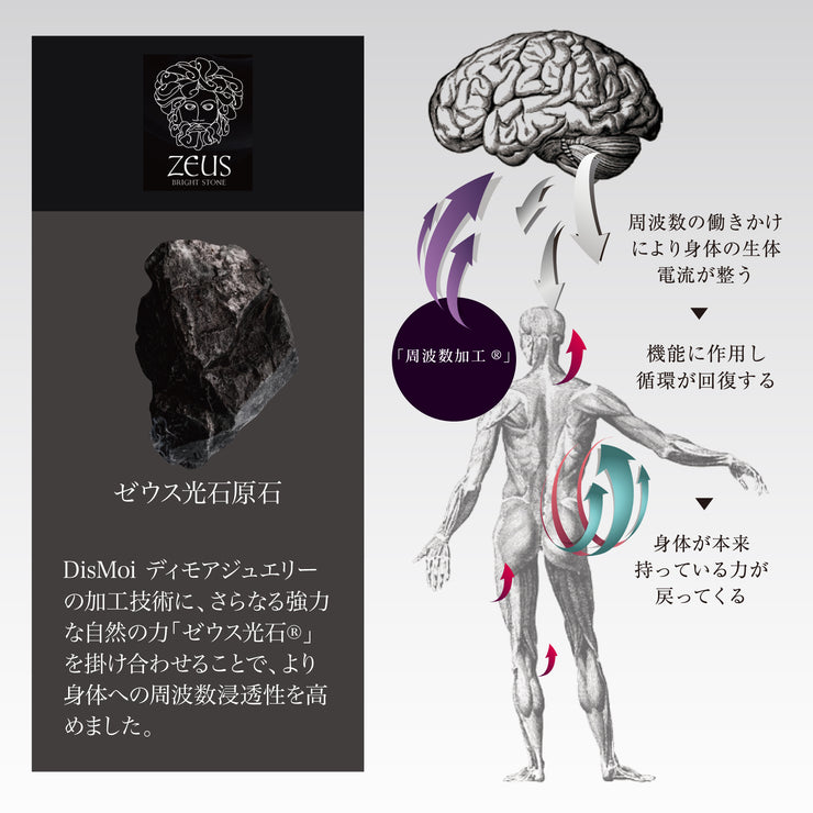 DisMoi ディモア