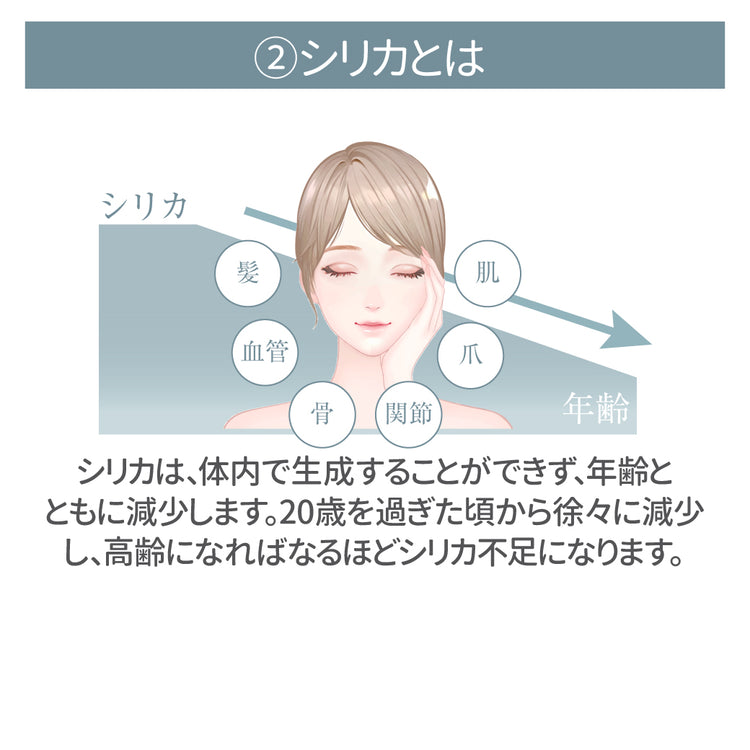 高純度シリカの製造と応用 高純度シリカの製造と応用
